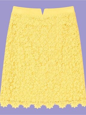 Anthropologie Tan Lace Pencil Skirt